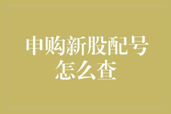 申购新股配号怎么查