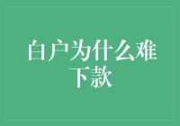 白户之困：为何借款人信用记录空白难获贷款？