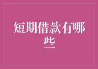 短期借款的多样化选择：理财者的智慧选择