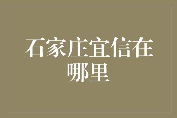 石家庄宜信在哪里