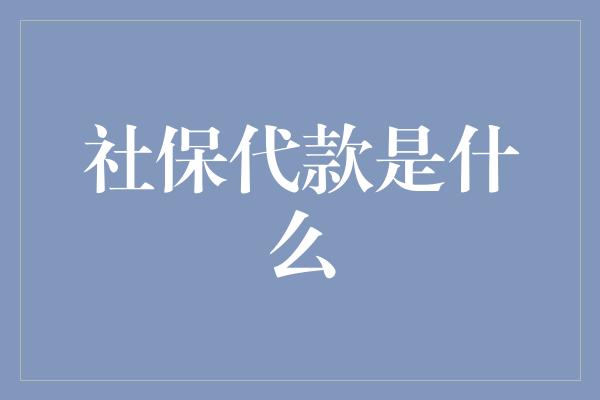 社保代款是什么