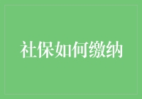 社保缴纳指南：如何在社保海洋中掌握浮浮沉沉