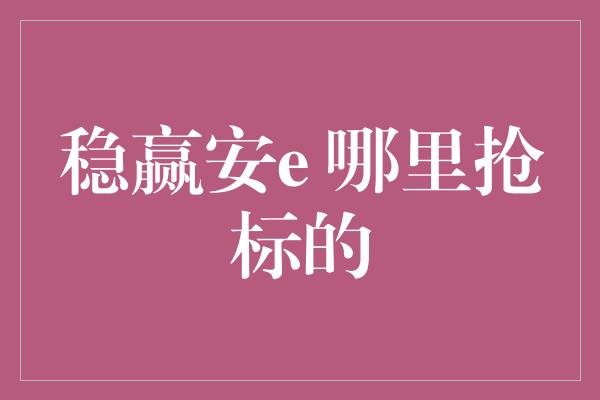 稳赢安e 哪里抢标的