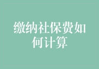 社保缴费：当数学遇上政策，你准备好迎接这笔复杂账？