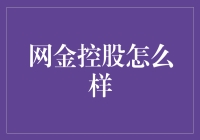 网金控股：探索数字金融新时代的领军企业