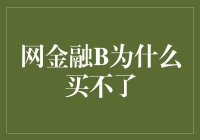 为什么网金融B买不了？新手必看攻略！