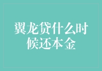 翼龙贷贷款还款策略：本金偿还规划解析