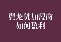 翼龙贷加盟商：如何在金融沙丁鱼罐头中捕捞到第一桶金？