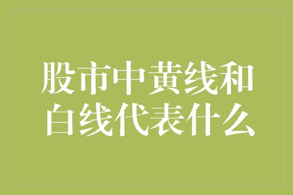 股市中黄线和白线代表什么