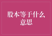 股本等于什么意思：企业资本结构解析