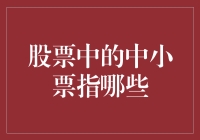 股票界的小巨人：谈谈那些被忽略的中小票