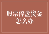 股票停盘资金应急策略：全方位视角下的流动性管理