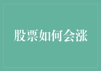 股票价值增长的内在机制与市场动因解析