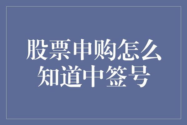 股票申购怎么知道中签号