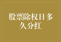 股票除权日：分红多久能到账？——一场神秘的等待之旅