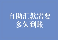 自助汇款到账时间解析：影响因素及优化策略