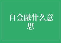 自金融：以技术为翼，构建个人财富管理新时代