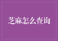 芝麻信用如何查询：解锁信用价值的密码