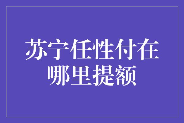 苏宁任性付在哪里提额