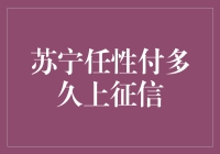 苏宁任性付：贷款期限与信用记录的关联性探讨