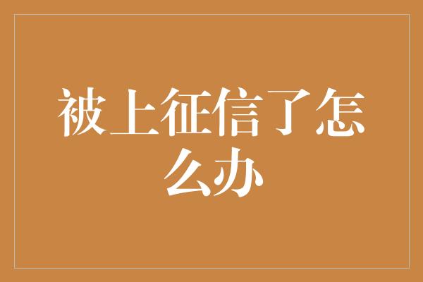 被上征信了怎么办