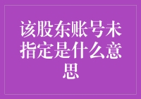 股东账号未指定：企业治理中的隐匿与疏漏