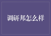 调研邦：数据调研行业的一颗璀璨新星