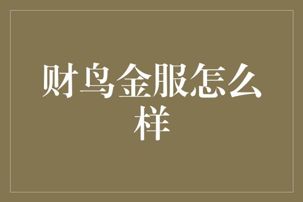 财鸟金服怎么样