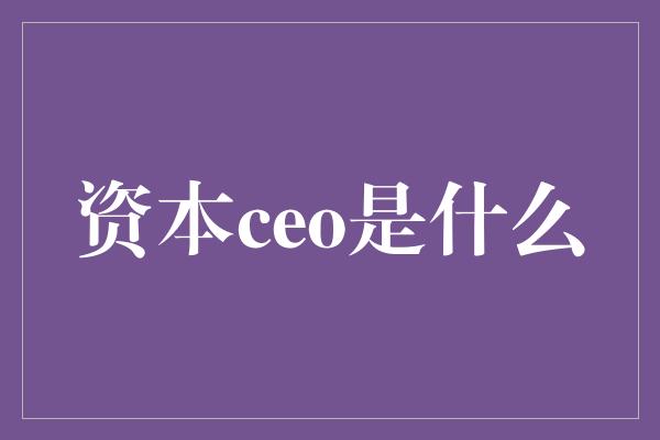 资本ceo是什么