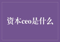 资本CEO：驾驭资本洪流的弄潮儿