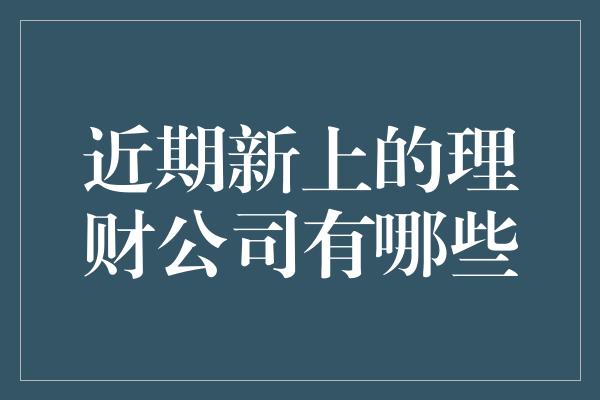 近期新上的理财公司有哪些