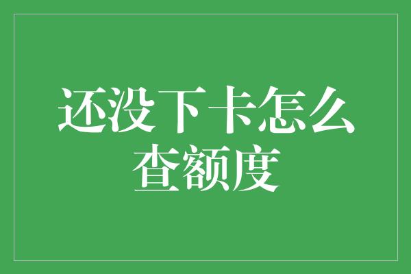 还没下卡怎么查额度