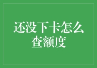 信用卡额度查询攻略：未下卡前的提前准备与技巧