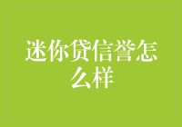 迷你贷：信誉评估与信贷风险管理的新探索