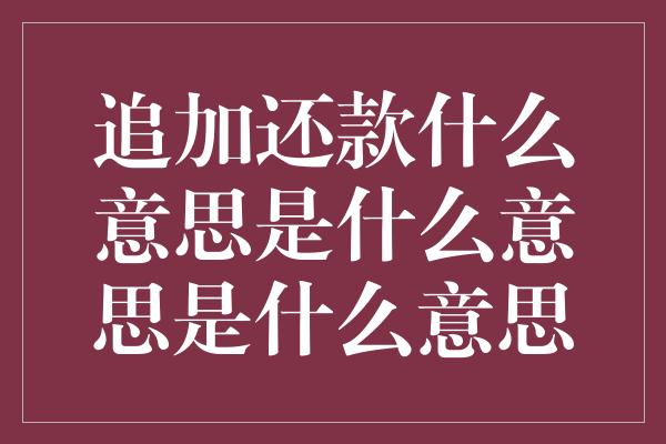 追加还款什么意思是什么意思是什么意思