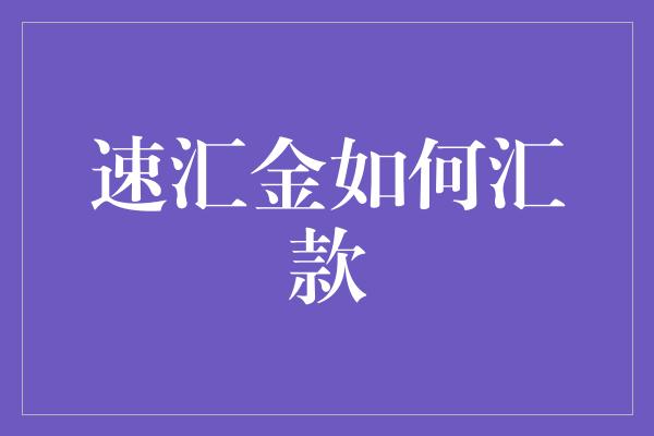 速汇金如何汇款