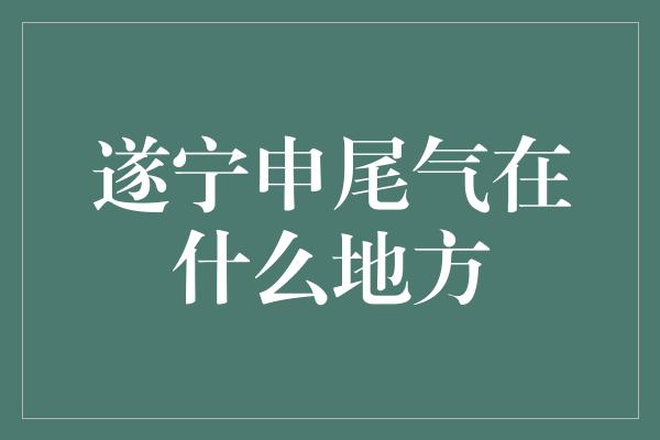 遂宁申尾气在什么地方