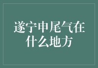 揭秘！遂宁申尾气的秘密基地