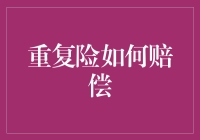 重复险：在保险保障中的保障再保障