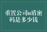 重置公司U盾密码：一场公司的奇幻冒险