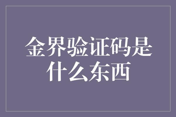 金界验证码是什么东西