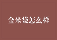 金米袋：高效便捷的个人财务管理工具