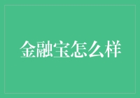 金融宝：重新定义个人与企业财务管理的未来？