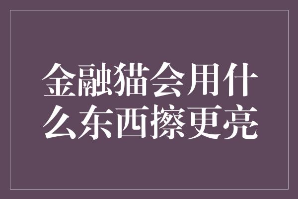 金融猫会用什么东西擦更亮