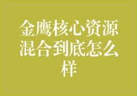 金鹰核心资源混合：投资者眼中的黄金组合