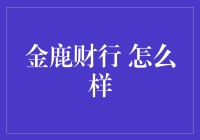 金鹿财行：剖析新型金融平台的潜力与挑战