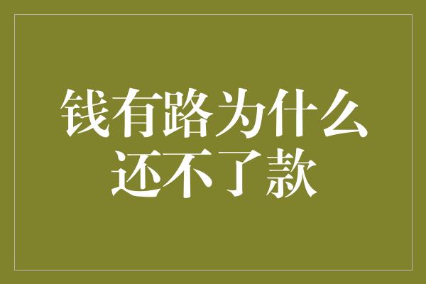 钱有路为什么还不了款