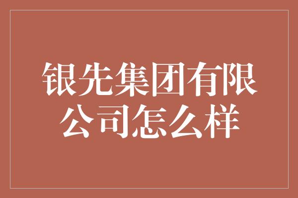 银先集团有限公司怎么样