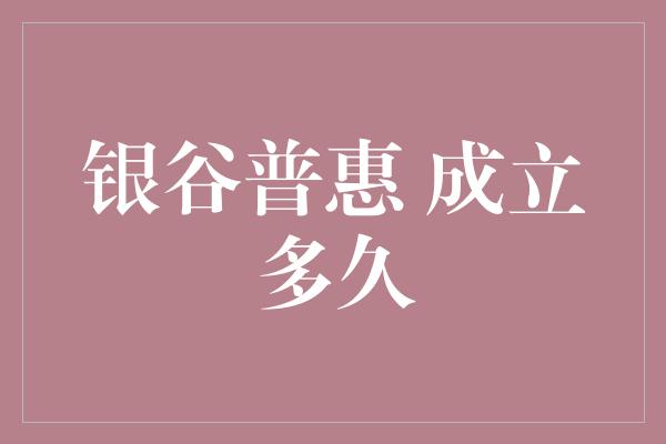 银谷普惠 成立多久