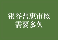 银谷普惠审核周期：快速借贷的时效解析